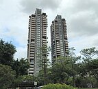 鳥瞰大安公園　國際買家愛信義聯勤