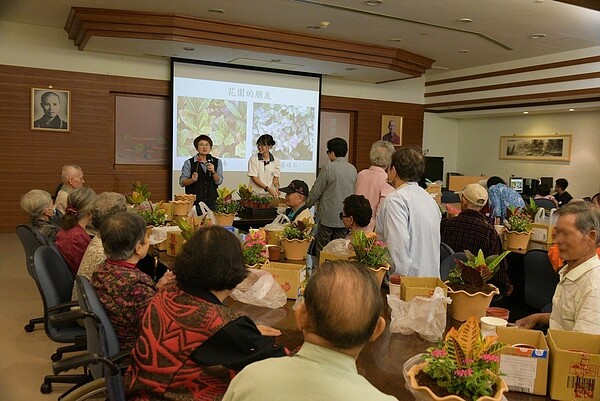 園藝治療師指導大家做「日日春花園」組合盆栽。 圖／ 大林慈濟醫院提供