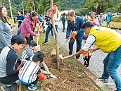 南澳栽植千株風鈴木　將成黃金小鎮