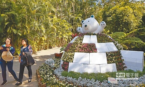 「2018年士林官邸菊展」昨天盛大開幕，許多民眾趁好天氣前往賞花。（張鎧乙攝）