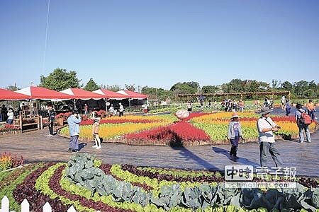 2018新社花海以「新社花海行 樂遊台三線」為主題，展區布置20公頃的花草區，植栽多達35萬株精緻花卉。（馮惠宜攝） 