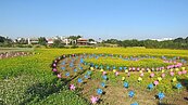 桃園平鎮花彩節　向日葵花海吸睛