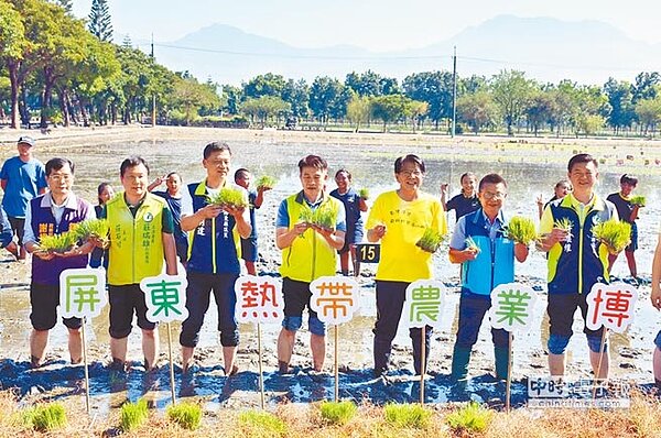 2019年熱博彩稻圖騰進行插秧動作,主辦單位透露圖樣將以雙豬提燈為主題,不僅呼應明年豬年,更強調台灣燈會在屏東。(林和生攝)