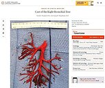 支氣管被咳出來？　醫師分析真相看這裡　