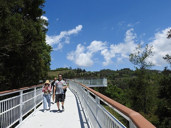 南投縣仁愛鄉「清境高空觀景步道」改善台14甲線人車爭道問題,還可遠眺高山美景。 聯合報系資料照
