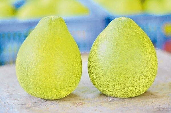 麻豆文旦上市,台南區農改場提供挑選的撇步,掌握三大原則就沒錯。 (記者吳淑玲/攝影)