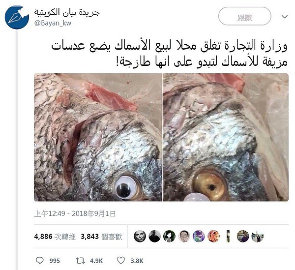 科威特一名魚販將「假眼睛」黏在魚眼上,好讓魚看起來更新鮮。取自Bayan_kw推特