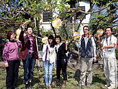 東勢梨樹認養掛牌　認養者可體驗田園之樂