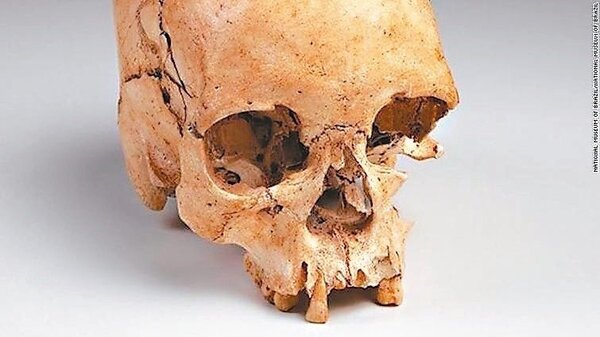 巴西最古老人類化石「露西亞」，是里約國家博物館官網著名館藏。 （里約國家博物館官網）