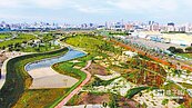 台中中央公園5滯洪池　通過豪雨考驗