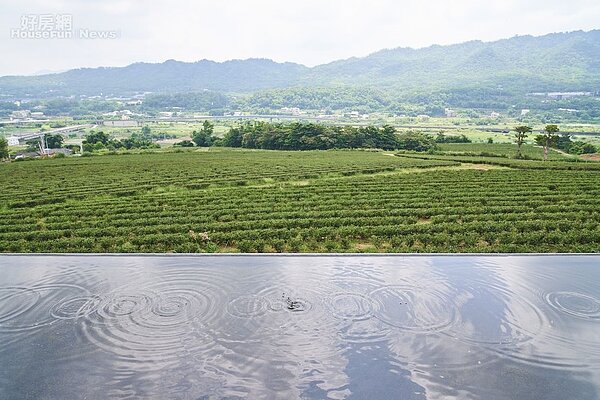苗栗 銅鑼茶廠