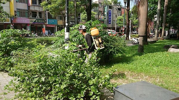 中北部登革熱持續升溫，高市5日再新增一例，疫情也相當緊繃，市府豪雨後啟動38區「滅斑總動員」，呼籲民眾積極清除積水及孳生源，避免登革熱病毒傳播。記者蔡容喬／攝影 