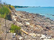 新豐最毒海岸線清汙　順利發包