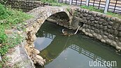 影／桃園龍潭百年石拱橋　基座淘空岌岌可危