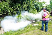 登革熱疫情持續燒　台中、彰化、高雄今增10例