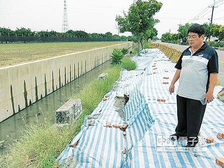 南47線佳里子龍往西港後營段在日前雨災後,因排水土堤流失,連道路都跟著塌陷,波及近百公尺,落差最高處約70公分,相關單位僅以路障阻隔。(莊曜聰攝)