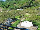 非法露營地　竊地55個足球場