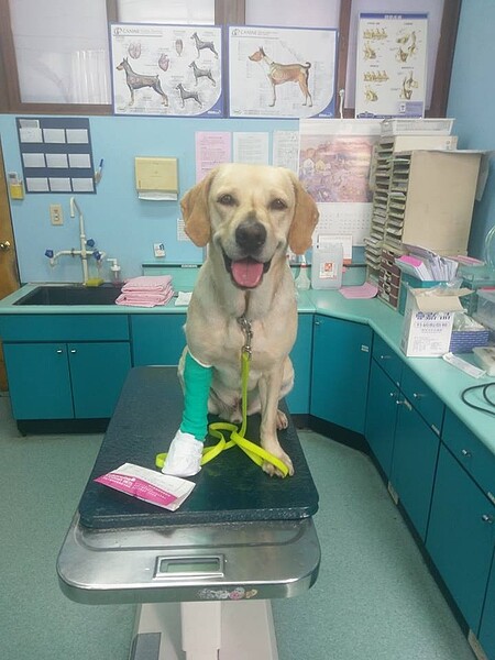 鐵雄曾支援花蓮震災救援。照片來源:台中市政府提供