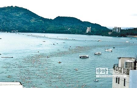 日月潭萬人泳渡泳道被強風吹歪,出現誇張的S形彎曲,歷年僅見。(楊樹煌攝)