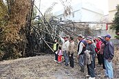 竹林大火成常態　居民要求公權力正視