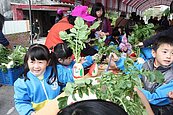 獅潭村打造優質社區　蘿蔔植栽行銷全國