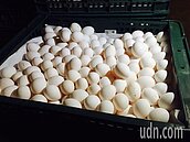缺蛋市場搶翻天　蛋價飆3年來新高