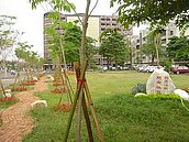 公車站不便民　南市6路延長路線