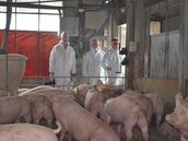 丹麥專家檢視雲林養豬業：糞尿處理落後丹麥40年