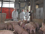 丹麥專家檢視雲林養豬業：糞尿處理落後丹麥40年