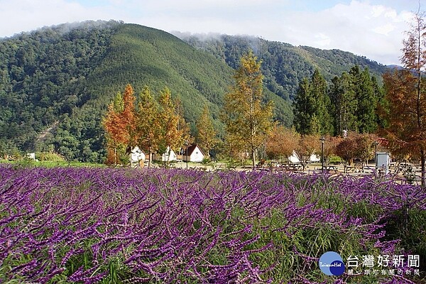 交通部觀光局28日再公布第3波各地方政府盤查轄區內露營場資訊,此次為違規露營場家數為555家,違規原因多以場地位在農牧用地,違反區域計畫法為主。(圖/Wikipedia)