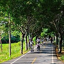 台中單車嘉年華好炫　遊台中逛花博單車就行