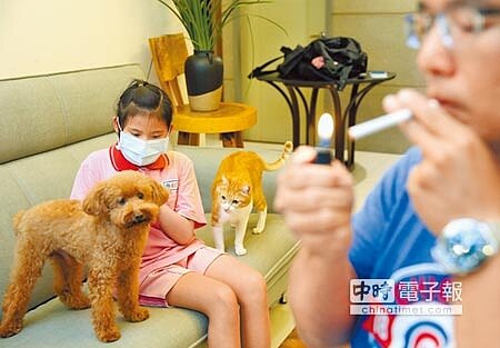 衛福部國民健康署2日舉行記者會,指出貓狗等寵物罹癌,元凶可能就是主人的三手菸。(陳信翰攝)(吸菸有害健康)