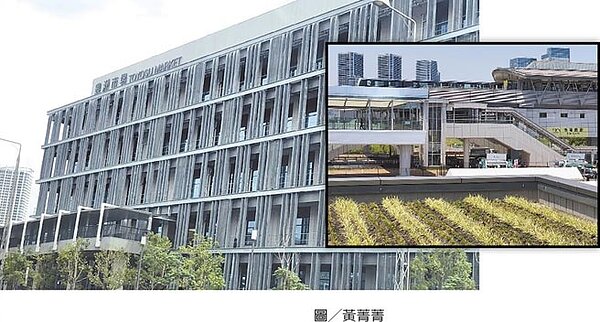 築地熄燈，豐洲繼起圖╱黃菁菁
