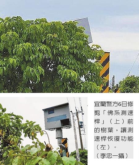 宜蘭警方6日修剪「佛系測速桿」(上)前的樹葉,讓測速桿恢復功能(下)。(李忠一攝)/中時電子報