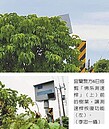 樹大招風　宜蘭警方清查「佛系測速桿」