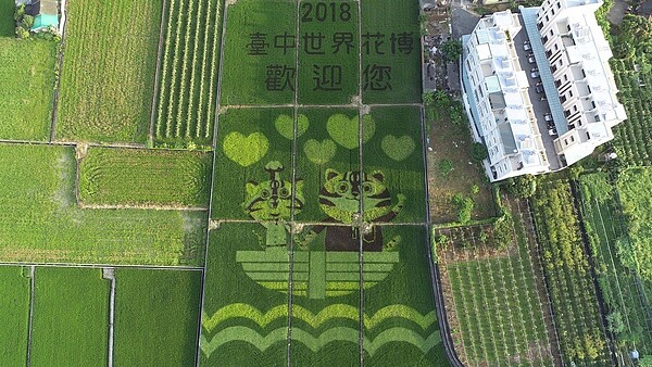 為宣傳花博,台中市外埔區永豐里1.3公頃的田園上設計花博吉祥物虎爸、虎媽搭乘方舟的可愛模樣。圖/台中市政府提供