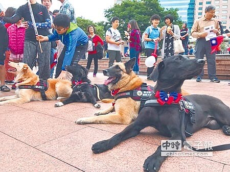 新北市消防局5隻搜救犬，國慶日在頸圈繫上國旗蝴蝶結，到升旗典禮現場拜票，右起為風、CHINO、貝兒、雪。（譚宇哲攝） 