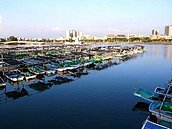 安平漁港違規蚵架　將強制拆除