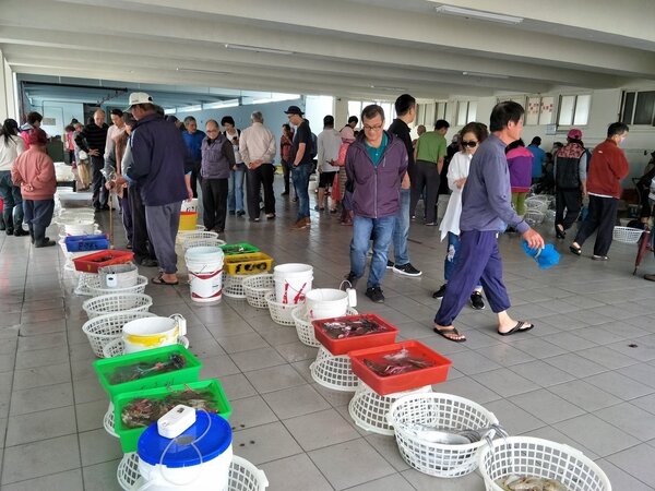 台南將軍青山漁港拍賣場各類魚貨魚貫等待拍賣。記者謝進盛/攝影 