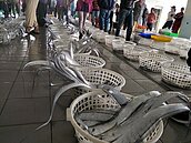 漁港拍賣魚貨也有潛規則　老司機私傳這幾招