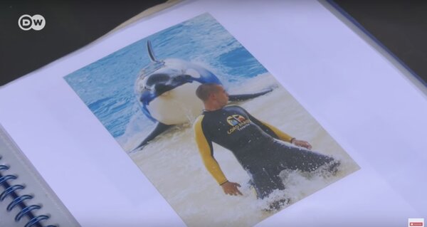 赫曼德茲的兒子與虎鯨一起訓練的照片。圖取自youtube