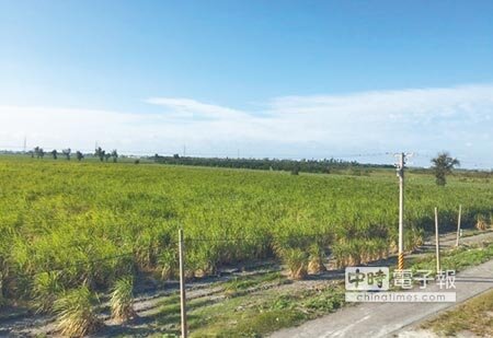 二林精密機械園區位於台糖萬興農場，22日環保署召開二階環評，環委不同意開發。（吳敏菁攝） 