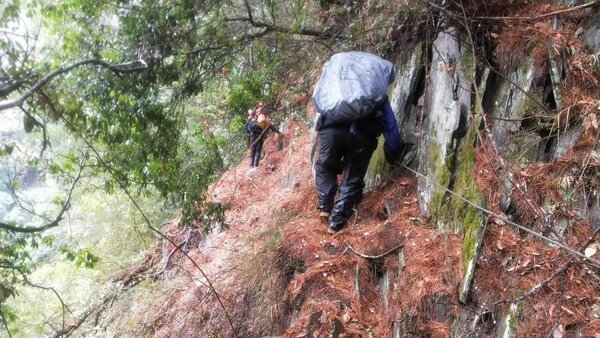 比基尼登山客墜谷地點是90度峭壁幾乎沒路徑，堪稱「九死一生」，搜救人員想起來仍感到害怕。圖／聯合報讀者提供