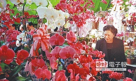 開運風水不花大錢金豬年旺旺 好房網news 開運風水不花大錢金豬年旺旺 好房網news