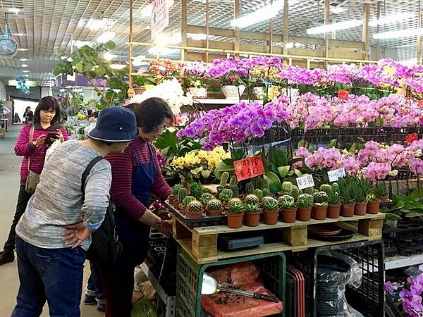 花木批發市場，應景盆花開賣。（圖／農委會提供）