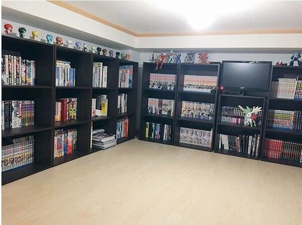 日本一名30歲單身女，表示自己根本不需要男友，曬出房間照，讓網友瞬間閉嘴。圖／翻攝自 2CH
