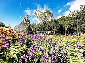 傳AIPH擬取消台中花博授權？　花博辦：根本沒看到信函