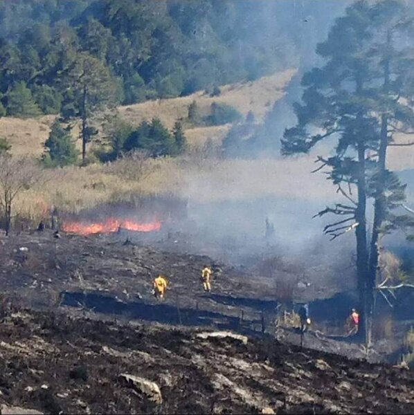 雪霸國家公園三六九山莊旁的山林火警獲得控制。圖／東勢林管處提供
