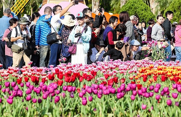 春節是全家人出遊的好時刻,不過有行動不便者的家庭可能憂心出門不方便。交通部觀光局於官網推出「無障礙旅遊」主題網頁,羅列友善的國家風景區與無障礙交通資訊,幫助民眾知道有哪些資源可利用。 記者鄭清元/攝影