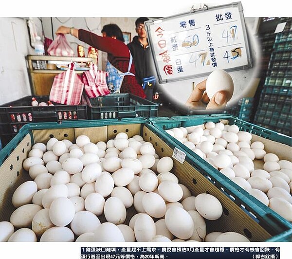 雞蛋缺口難填,產量趕不上需求,農委會預估3月產量才會趨穩,價格才有機會回跌。有蛋行甚至出現47元等價格,為20年新高。(郭吉銓攝)